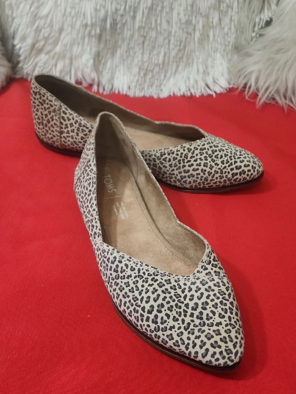 TOMS Women's Gemma Ballet Leopard Print Flats Shoes